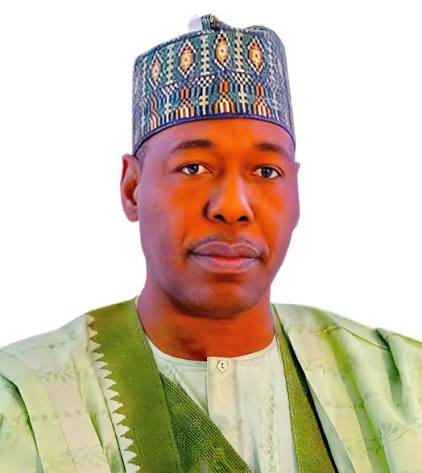 Governor photo